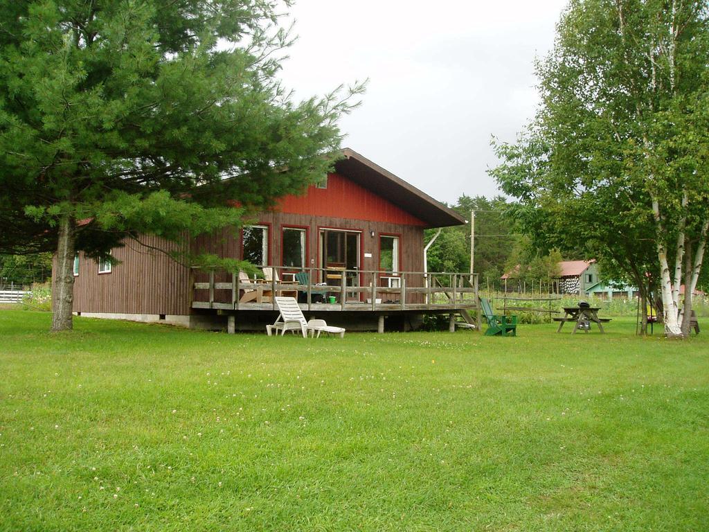 Bondi Village Cottage Resort Lake of Bays Bagian luar foto