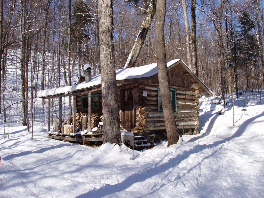 Bondi Village Cottage Resort Lake of Bays Bagian luar foto