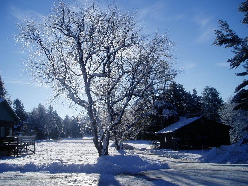Bondi Village Cottage Resort Lake of Bays Bagian luar foto